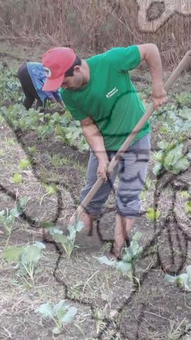 [Título n/d] : lote nº 002, pasta nº 000027, doc. nº 000005 [imagem] / Fotógrafo(a) : [autoria n/d].