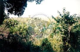 Visita à África - Maguilla (Africa, [sem data]) [fotografia] / Fotógrafo(a) : Arquivo MST. -- Ref.: BR-SPMST_MST-SN-CIN_AMP_001100-009009-RIT.