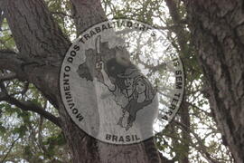 [Título n/d] : lote nº 002, pasta nº 000008, doc. nº 000023 [imagem] / Fotógrafo(a) : [autoria n/d].