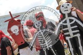 [Título n/d] : lote nº 002, pasta nº 000086, doc. nº 000113 [imagem] / Fotógrafo(a) : [autoria n/d].