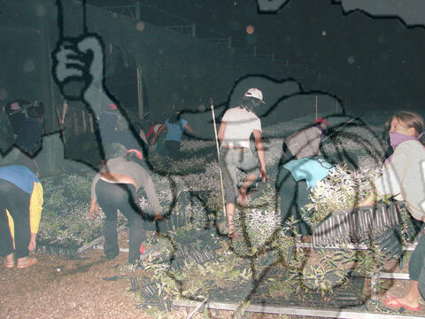 Original Objeto digital not accessible