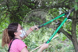 [Título n/d] : lote nº 002, pasta nº 000014, doc. nº 000265 [imagem] / Fotógrafo(a) : [autoria n/d].