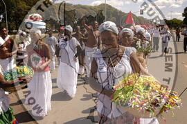 [Título n/d] : lote nº 002, pasta nº 000044, doc. nº 000530 [imagem] / Fotógrafo(a) : [autoria n/d].