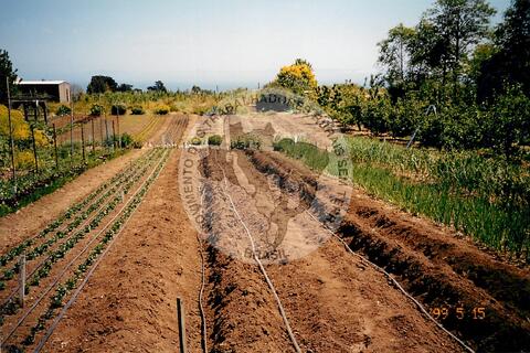 Original Document numérique not accessible