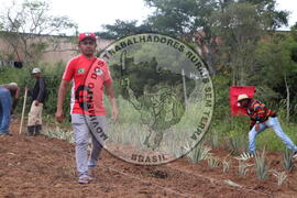 [Título n/d] : lote nº 002, pasta nº 000014, doc. nº 000195 [imagem] / Fotógrafo(a) : [autoria n/d].