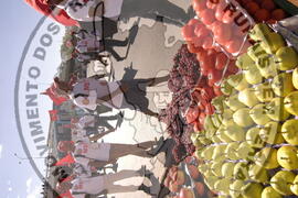 [Título n/d] : lote nº 002, pasta nº 000044, doc. nº 000379 [imagem] / Fotógrafo(a) : [autoria n/d].