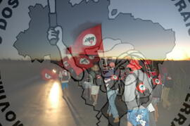 [Título n/d] : lote nº 002, pasta nº 000045, doc. nº 000257 [imagem] / Fotógrafo(a) : [autoria n/d].