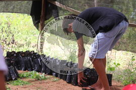 [Título n/d] : lote nº 002, pasta nº 000014, doc. nº 000237 [imagem] / Fotógrafo(a) : [autoria n/d].