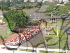 [Título n/d] : lote nº 002, pasta nº 000043, doc. nº 000106 [imagem] / Fotógrafo(a) : [autoria n/d].