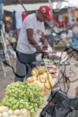 [Título n/d] : lote nº 002, pasta nº 000076, doc. nº 000015 [imagem] / Fotógrafo(a) : [autoria n/d].