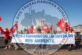 [Título n/d] : lote nº 002, pasta nº 000070, doc. nº 000060 [imagem] / Fotógrafo(a) : [autoria n/d].