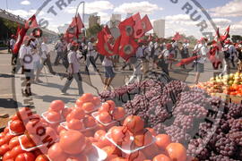 [Título n/d] : lote nº 002, pasta nº 000044, doc. nº 000374 [imagem] / Fotógrafo(a) : [autoria n/d].