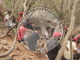 [Título n/d] : lote nº 002, pasta nº 000008, doc. nº 000009 [imagem] / Fotógrafo(a) : [autoria n/d].