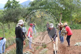 [Título n/d] : lote nº 002, pasta nº 000014, doc. nº 000209 [imagem] / Fotógrafo(a) : [autoria n/d].