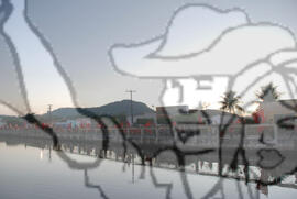 [Título n/d] : lote nº 002, pasta nº 000074, doc. nº 000456 [imagem] / Fotógrafo(a) : [autoria n/d].