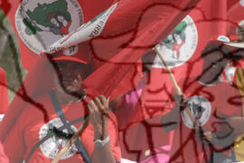 [Título n/d] : lote nº 002, pasta nº 000074, doc. nº 000277 [imagem] / Fotógrafo(a) : [autoria n/d].