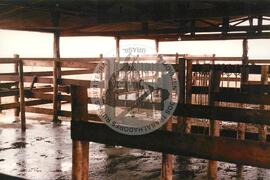 4 anos de COPAJOTA (Promissão-SP, 11 mai. 1996) [fotografia] / Fotógrafo(a) : Mário de Freitas. -- Ref.: BR-SPMST_MST-SN-CIN_AMP_000754-004948-CSS.