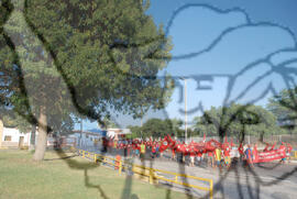 [Título n/d] : lote nº 002, pasta nº 000074, doc. nº 000128 [imagem] / Fotógrafo(a) : [autoria n/d].