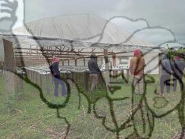 [Título n/d] : lote nº 002, pasta nº 000033, doc. nº 000032 [imagem] / Fotógrafo(a) : [autoria n/d].