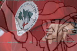 [Título n/d] : lote nº 002, pasta nº 000074, doc. nº 000375 [imagem] / Fotógrafo(a) : [autoria n/d].