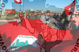 [Título n/d] : lote nº 002, pasta nº 000045, doc. nº 000381 [imagem] / Fotógrafo(a) : [autoria n/d].