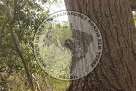 [Título n/d] : lote nº 002, pasta nº 000008, doc. nº 000028 [imagem] / Fotógrafo(a) : [autoria n/d].