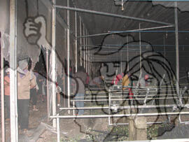 [Título n/d] : lote nº 002, pasta nº 000048, doc. nº 000010 [imagem] / Fotógrafo(a) : [autoria n/d].