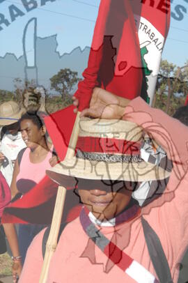 [Título n/d] : lote nº 002, pasta nº 000045, doc. nº 000380 [imagem] / Fotógrafo(a) : [autoria n/d].