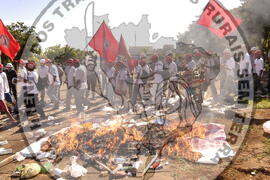 [Título n/d] : lote nº 002, pasta nº 000044, doc. nº 000497 [imagem] / Fotógrafo(a) : [autoria n/d].