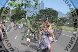 [Título n/d] : lote nº 002, pasta nº 000047, doc. nº 000029 [imagem] / Fotógrafo(a) : [autoria n/d].