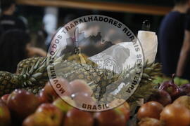 [Título n/d] : lote nº 002, pasta nº 001356, doc. nº 000193 [imagem] / Fotógrafo(a) : [autoria n/d].