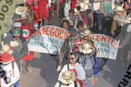 [Título n/d] : lote nº 002, pasta nº 000045, doc. nº 000376 [imagem] / Fotógrafo(a) : [autoria n/d].