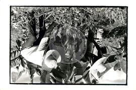 COOPAGUIA- Coopetivas de Produção Agropecuária de União e imenso amor (Monsenhor Tabosa-CE, [sem data]) [fotografia] / Fotógrafo(a) : Arquivo MST. -- Ref.: BR-SPMST_MST-SN-CIN_AMP_001975-015156-PDU.