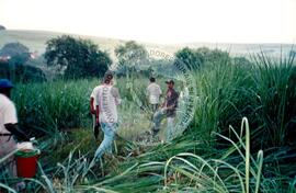 Acampamento " Nova Canudos- Fazenda Engenheiro D'Agua" do MST (Porto Feliz-SP, fev. 1999) [fotografia] / Fotógrafo(a) : Douglas Mansur. -- Ref.: BR-SPMST_MST-SN-CIN_AMP_000046-000278-ACP.
