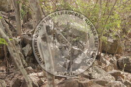 [Título n/d] : lote nº 002, pasta nº 000008, doc. nº 000022 [imagem] / Fotógrafo(a) : [autoria n/d].