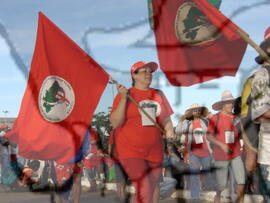 [Título n/d] : lote nº 002, pasta nº 000043, doc. nº 000048 [imagem] / Fotógrafo(a) : [autoria n/d].