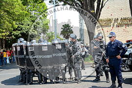 [Título n/d] : lote nº 002, pasta nº 000086, doc. nº 000013 [imagem] / Fotógrafo(a) : [autoria n/d].