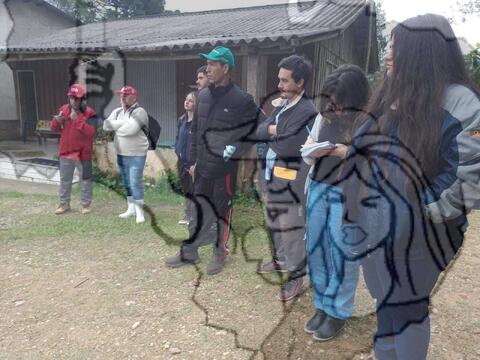 Original Objeto digital not accessible