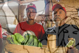 [Título n/d] : lote nº 002, pasta nº 000101, doc. nº 000029 [imagem] / Fotógrafo(a) : [autoria n/d].