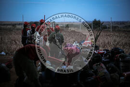 [Título n/d] : lote nº 002, pasta nº 000106, doc. nº 000039 [imagem] / Fotógrafo(a) : [autoria n/d].