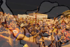 [Título n/d] : lote nº 002, pasta nº 000074, doc. nº 000454 [imagem] / Fotógrafo(a) : [autoria n/d].