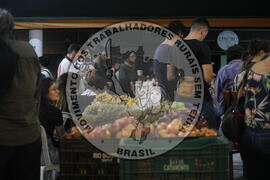 [Título n/d] : lote nº 002, pasta nº 001356, doc. nº 000210 [imagem] / Fotógrafo(a) : [autoria n/d].