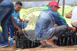 [Título n/d] : lote nº 002, pasta nº 000015, doc. nº 000015 [imagem] / Fotógrafo(a) : [autoria n/d].