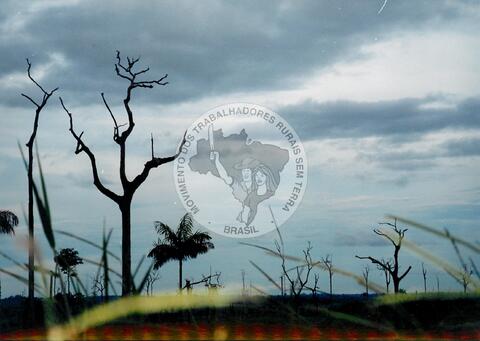 Original Document numérique not accessible