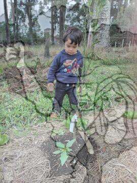 [Título n/d] : lote nº 002, pasta nº 000025, doc. nº 000002 [imagem] / Fotógrafo(a) : [autoria n/d].