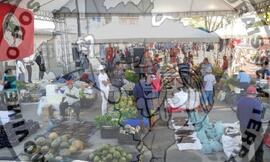 [Título n/d] : lote nº 002, pasta nº 000089, doc. nº 000043 [imagem] / Fotógrafo(a) : [autoria n/d].