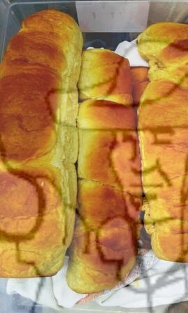 [Título n/d] : lote nº 002, pasta nº 000089, doc. nº 000008 [imagem] / Fotógrafo(a) : [autoria n/d].