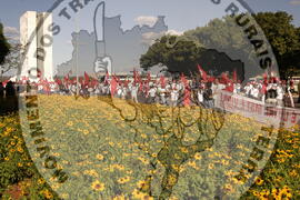 [Título n/d] : lote nº 002, pasta nº 000044, doc. nº 000245 [imagem] / Fotógrafo(a) : [autoria n/d].