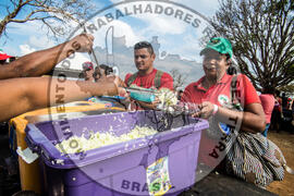 [Título n/d] : lote nº 002, pasta nº 000112, doc. nº 000033 [imagem] / Fotógrafo(a) : [autoria n/d].