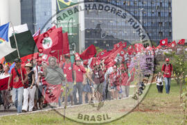 [Título n/d] : lote nº 002, pasta nº 000076, doc. nº 000262 [imagem] / Fotógrafo(a) : [autoria n/d].